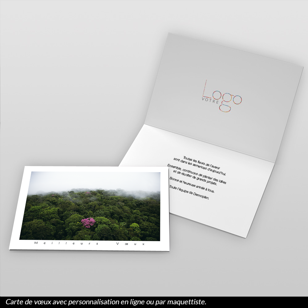 Carte de voeux 2026 - Ébène Rose