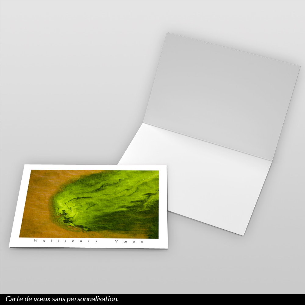 Carte de voeux 2026 - Algues, Lac Turkana