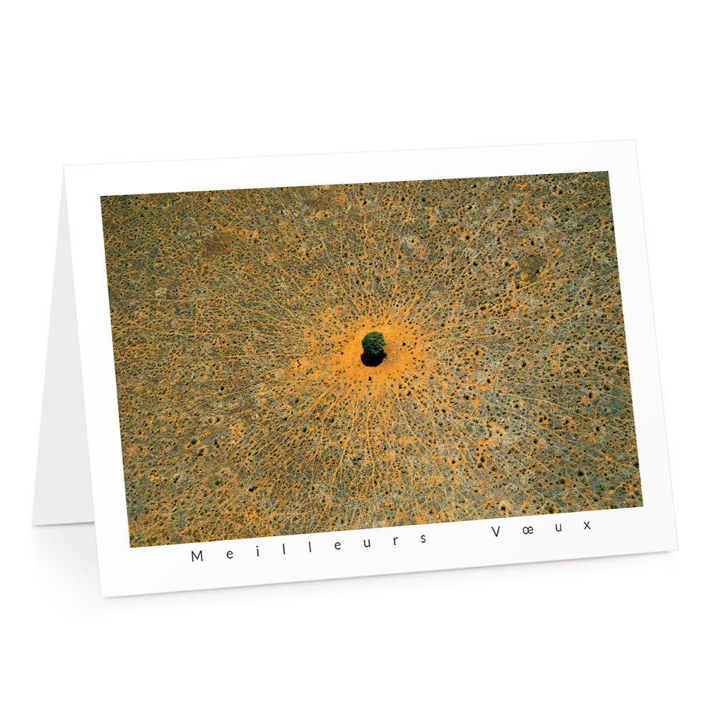 Carte de voeux 2026 - L'Arbre de Vie