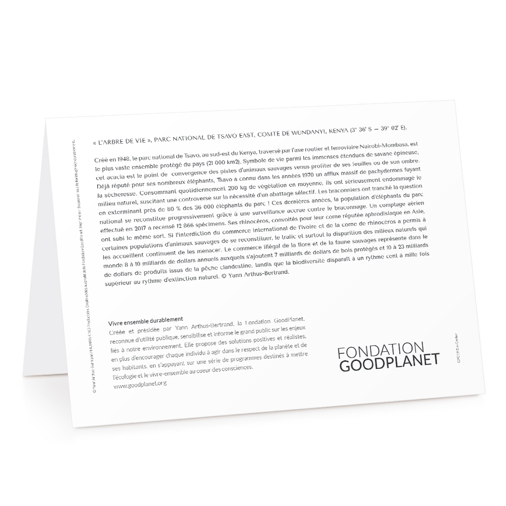 Carte de voeux 2026 - L'Arbre de Vie