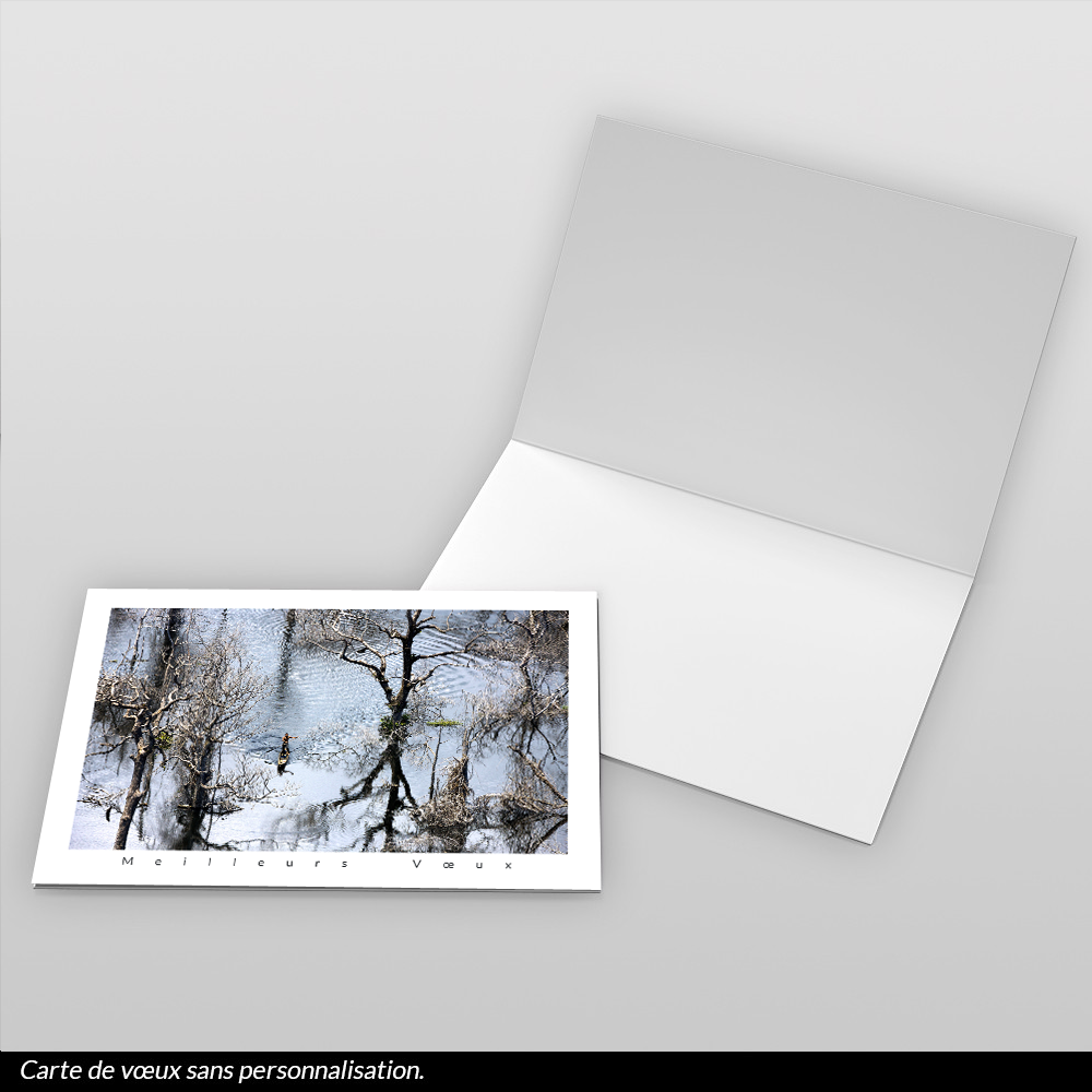 Carte de voeux 2026 - Pêcheur sur la Rivière Léfini