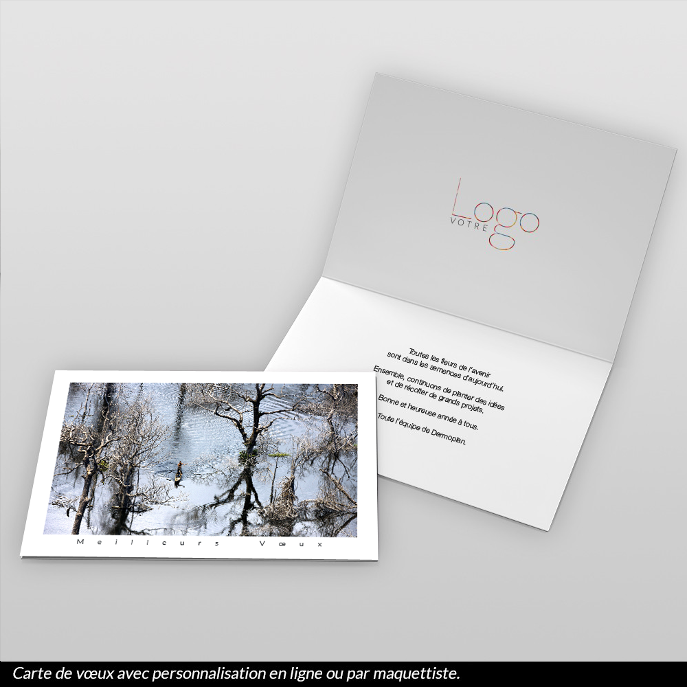 Carte de voeux 2026 - Pêcheur sur la Rivière Léfini