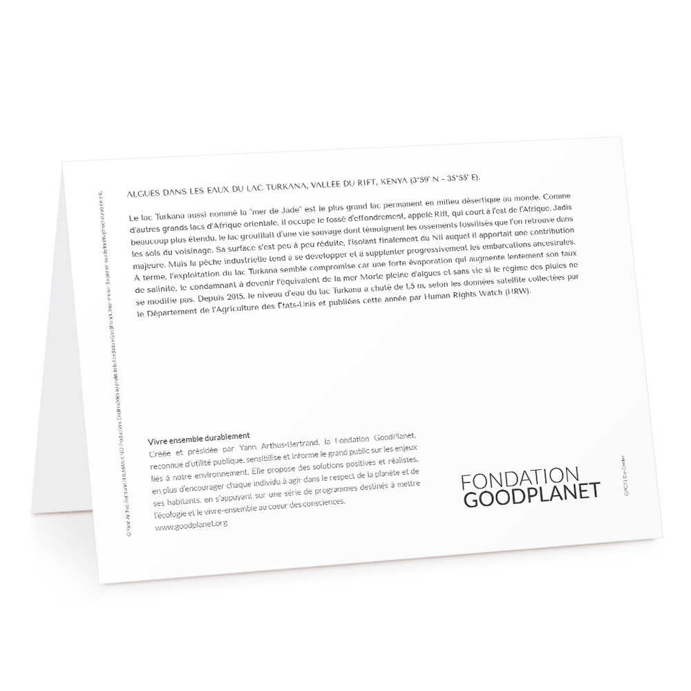 Carte de voeux 2026 - Algues, Lac Turkana