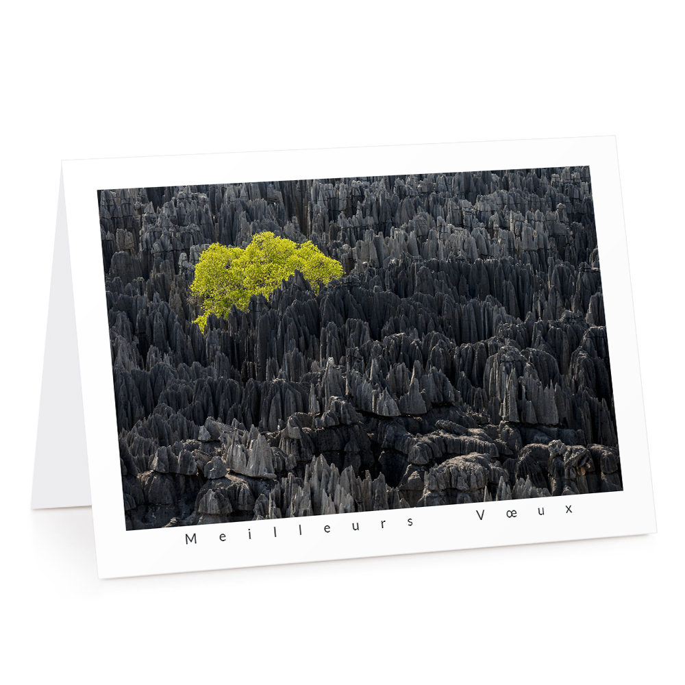 Carte de voeux 2026 - Tsingy de Bemaraha