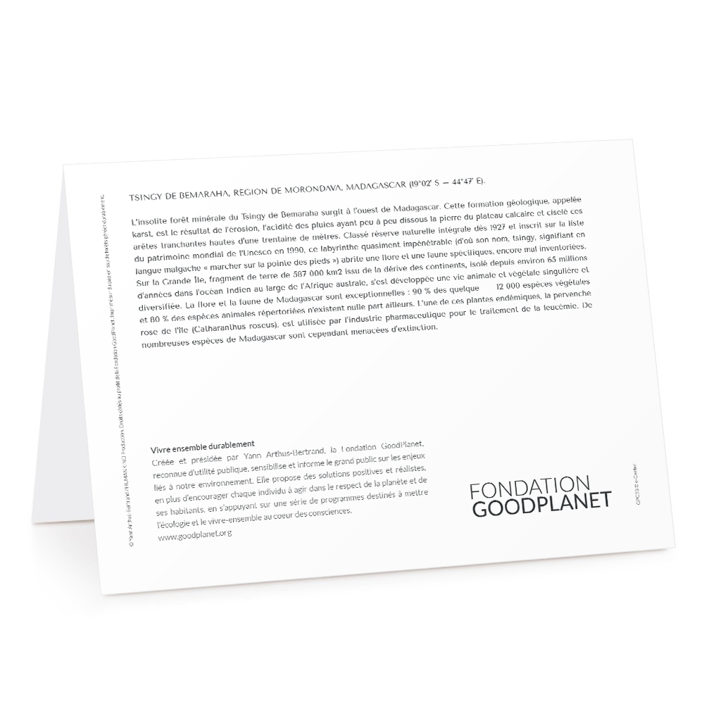 Carte de voeux 2026 - Tsingy de Bemaraha