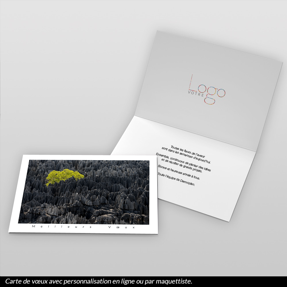 Carte de voeux 2026 - Tsingy de Bemaraha