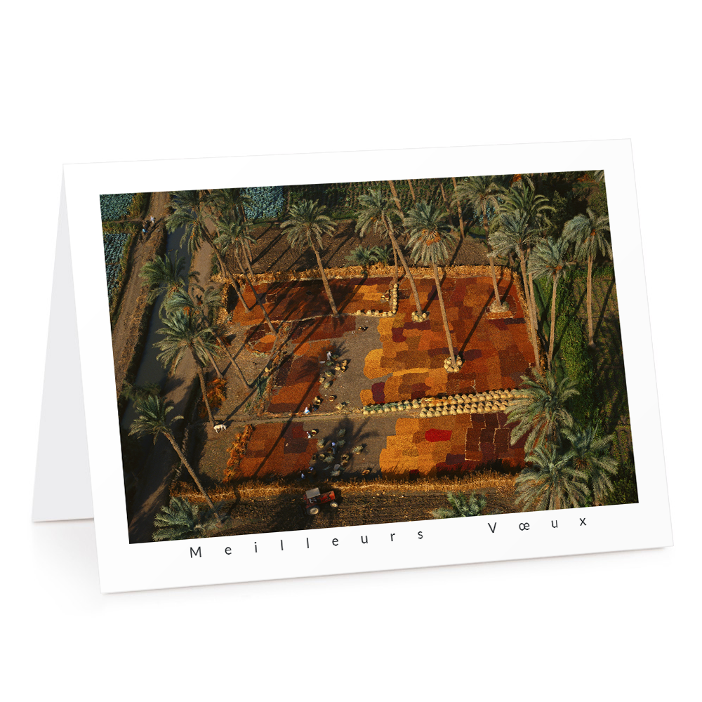 Carte de voeux 2026 - Séchage de Dattes