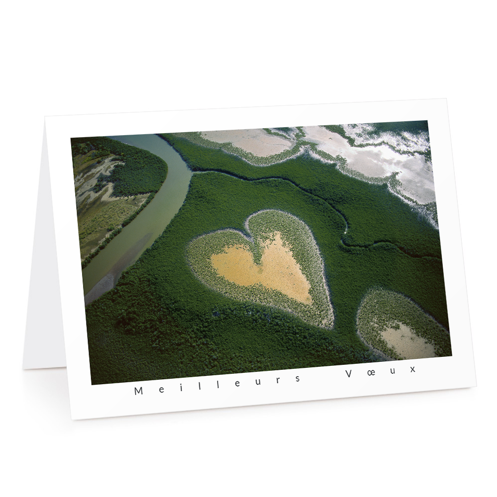 Carte de voeux 2026 - Cœur de Voh