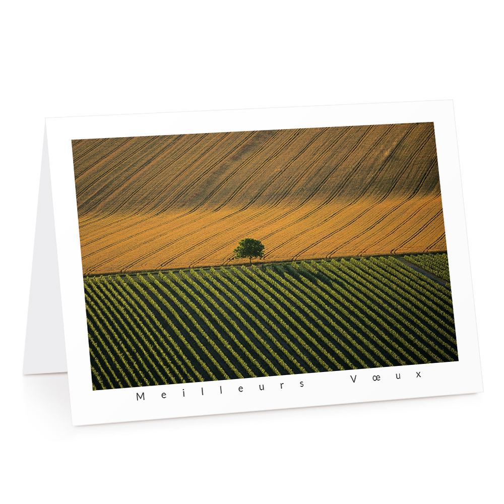 Carte de voeux 2026 - Paysage Agricole