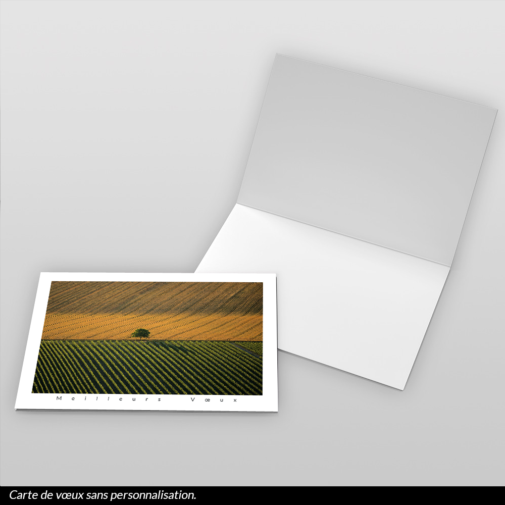 Carte de voeux 2026 - Paysage Agricole