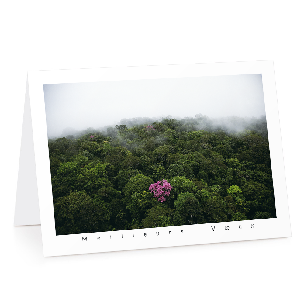 Carte de voeux 2026 - Ébène Rose