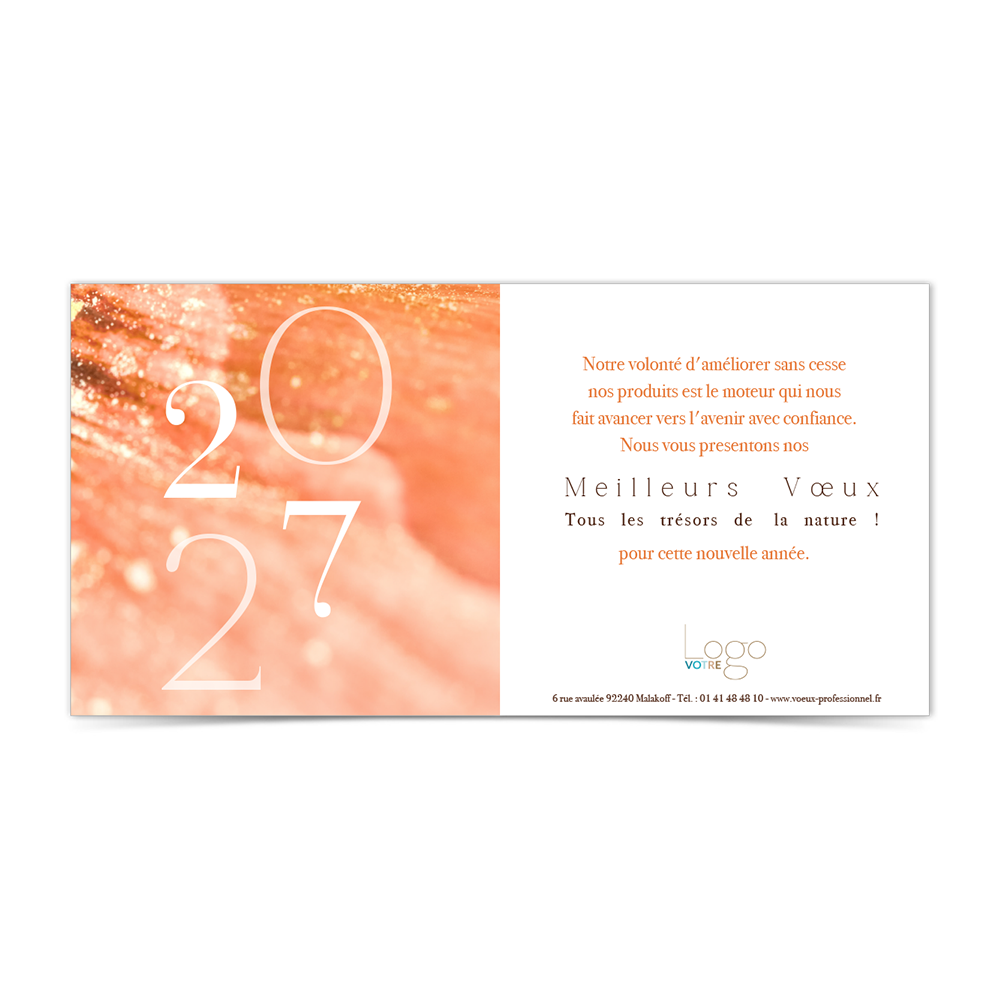 Carte de voeux virtuelle ANK487