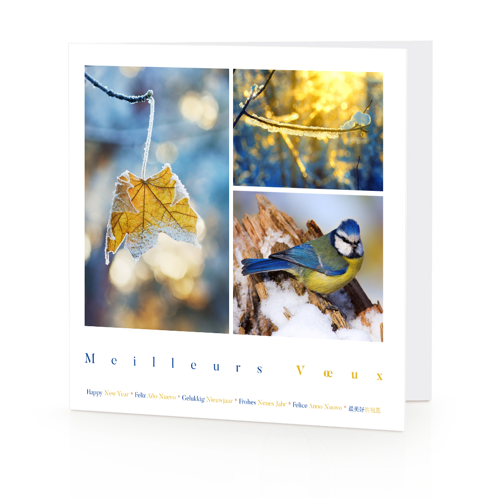 Carte de voeux 2026 - Noël Doré
