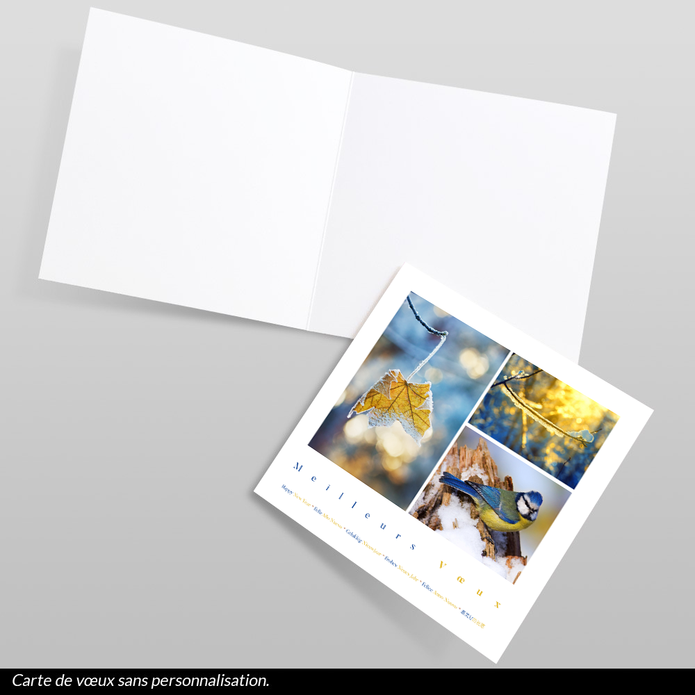 Carte de voeux 2027 - Noël Doré