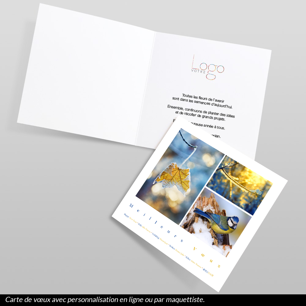Carte de voeux 2027 - Noël Doré